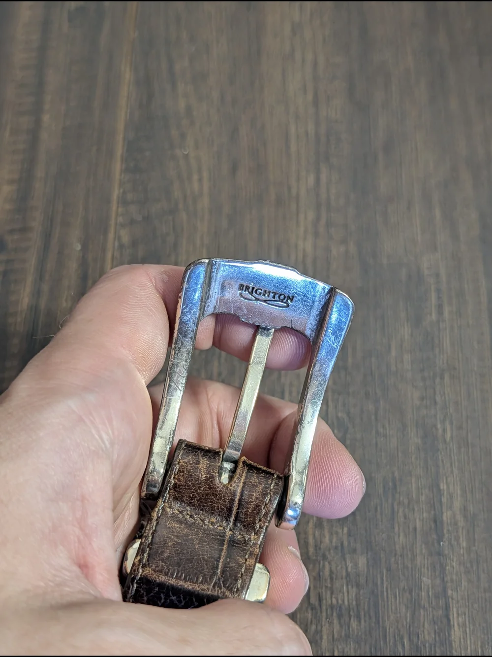 Onyx by Brighton Brown Alligator Leather Belt with Silver Buckle, Keeper And Tip